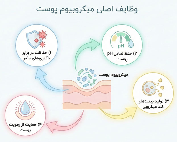 تاثیر میکروبیوم پوست در زیبایی پوست